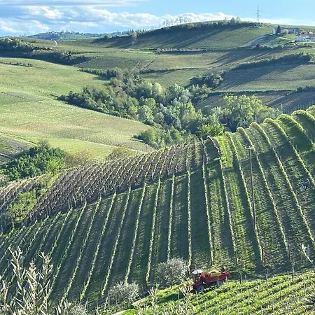 Relais Portaluna Delle Langhe, Private Estate With Pool, 7 Bedrooms, Sleeps 18, Vineyard Views Mango