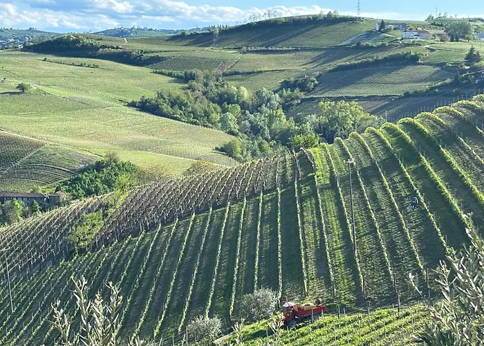 Relais Portaluna Delle Langhe, Private Estate With Pool, 7 Bedrooms, Sleeps 18, Vineyard Views Mango