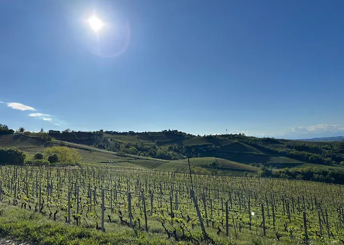 别墅 Relais Portaluna Delle Langhe, Private Estate With Pool, 7 Bedrooms, Sleeps 18, Vineyard Views